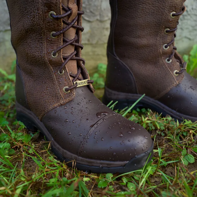 berwick ariat
