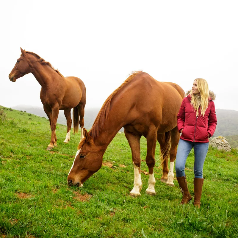 Ariat Premium High Rise Ladies Skinny Jeans - Ocean Blue/Cameron-9