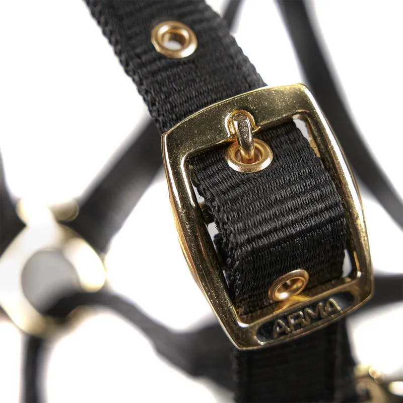 ARMA Control Headcollar - Black-3