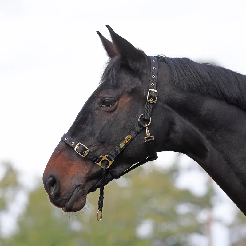ARMA Control Headcollar - Black-2