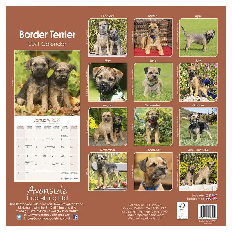 Avonside 2021 Calendar - Border Terrier-1