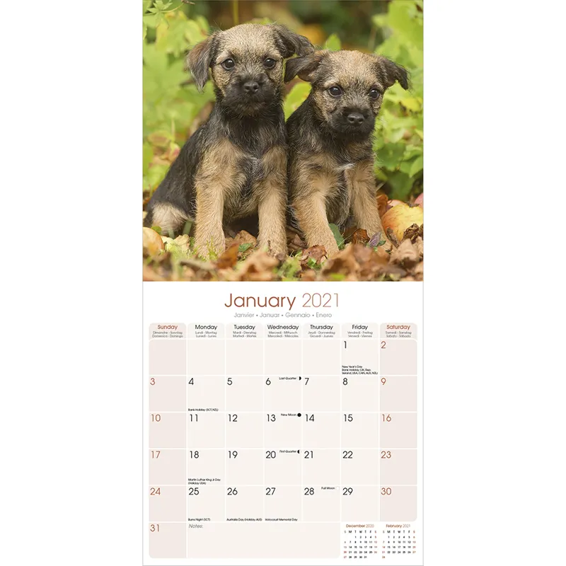 Avonside 2021 Calendar - Border Terrier-2