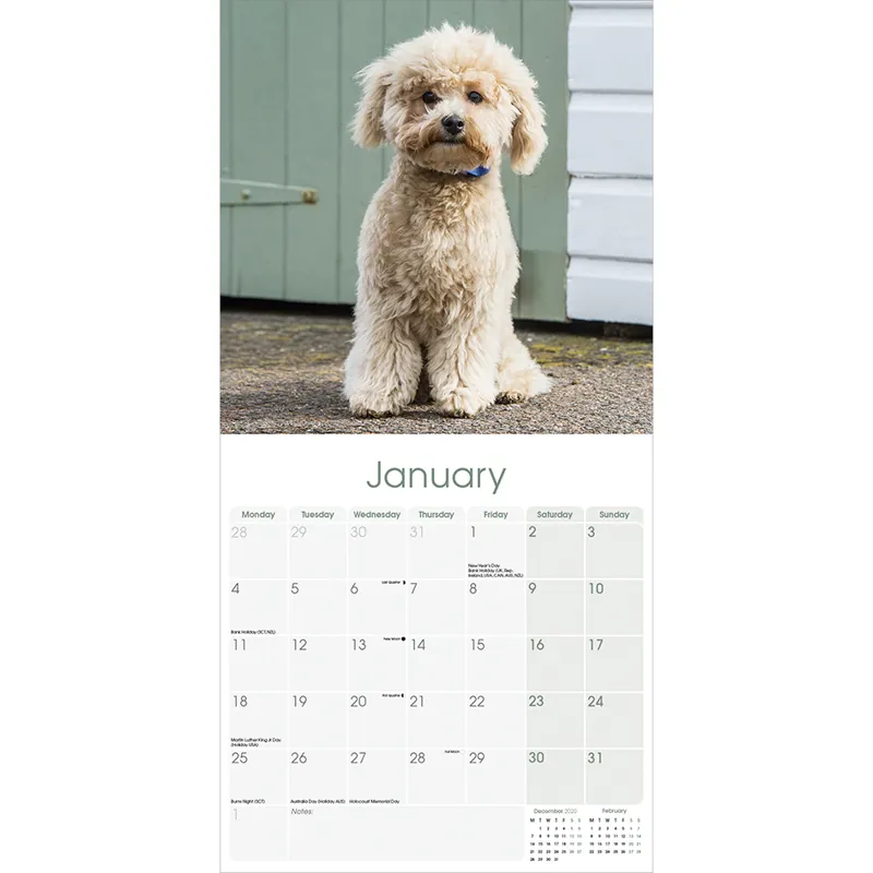 Avonside 2021 Calendar - Cockapoo-2