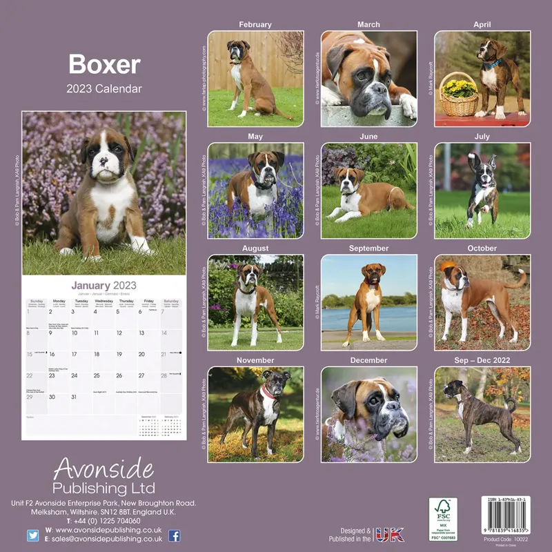 Avonside 2023 Calendar - Boxer-1