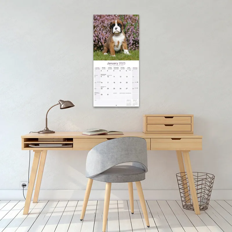 Avonside 2023 Calendar - Boxer-2