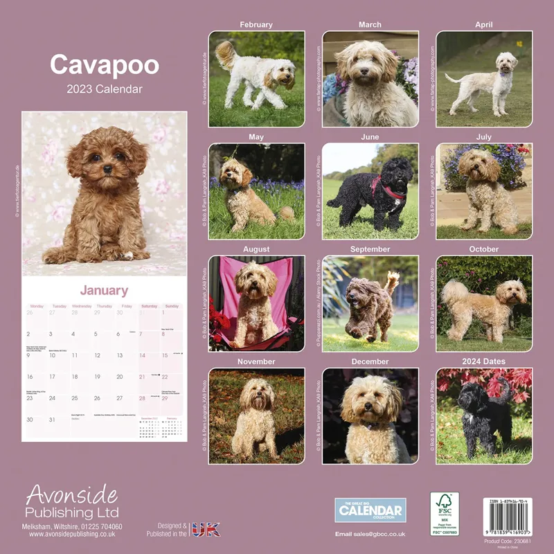 Avonside 2023 Calendar - Cavapoo-1