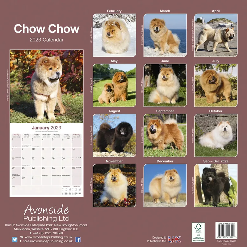 Avonside 2023 Calendar - Chow Chow-1
