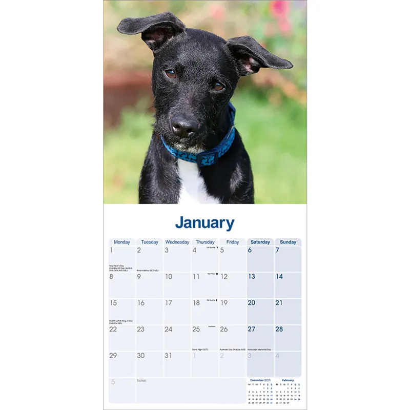 Avonside 2024 Calendar - Patterdale Terrier-2
