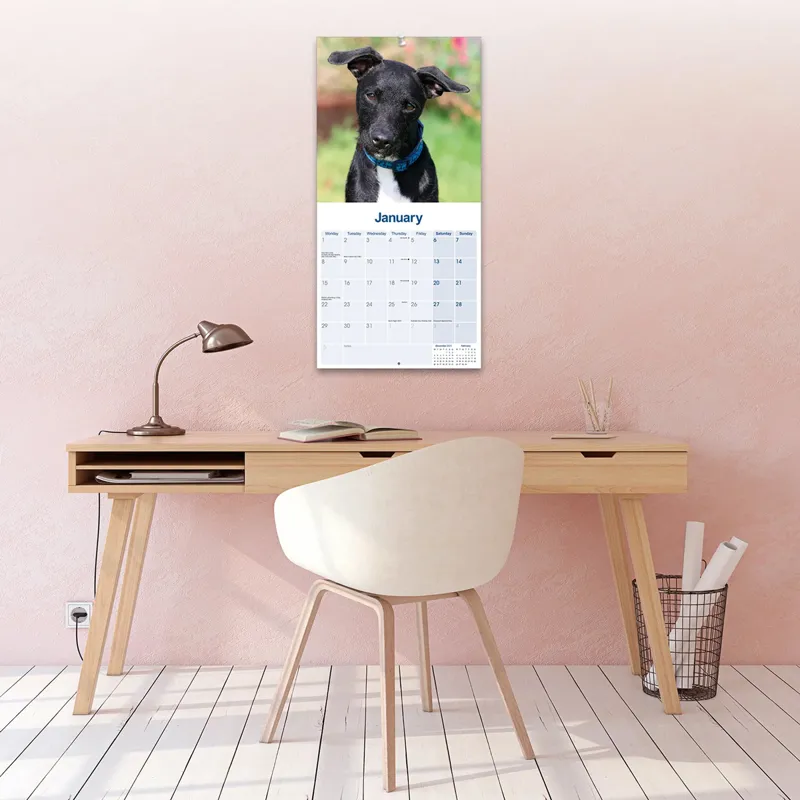 Avonside 2024 Calendar - Patterdale Terrier-3