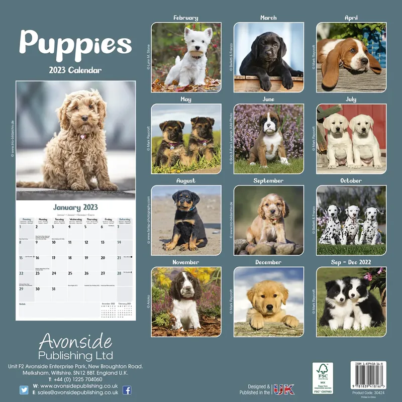 Avonside 2023 Calendar - Puppies-1