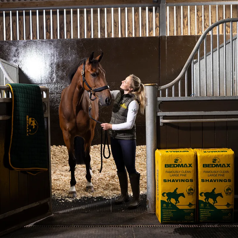 Bedmax Large Flake Shavings - 18kg-5