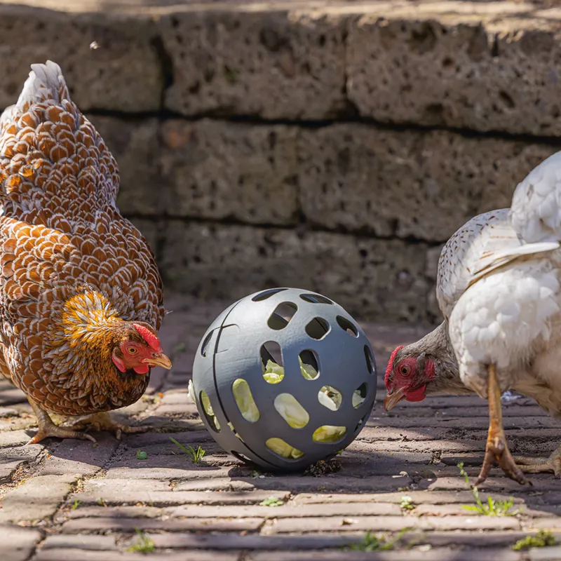 beeztees Chicken Snack Ball-1