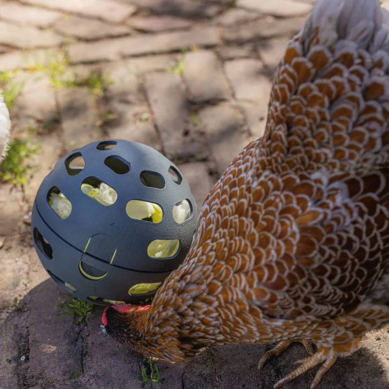 beeztees Chicken Snack Ball-2