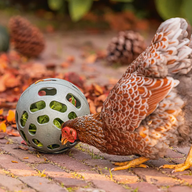 beeztees Chicken Snack Ball-3