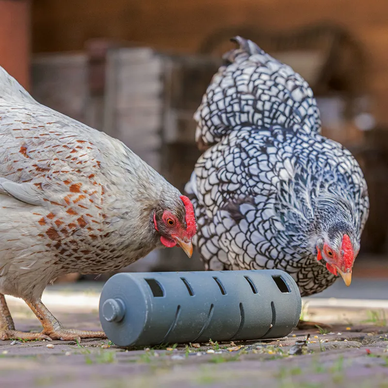 beeztees Chicken Snack Roller-1