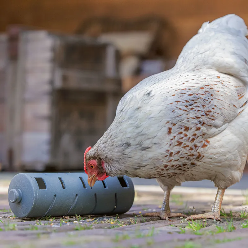 beeztees Chicken Snack Roller-2