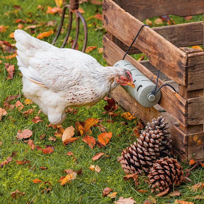 beeztees Chicken Snack Roller-5