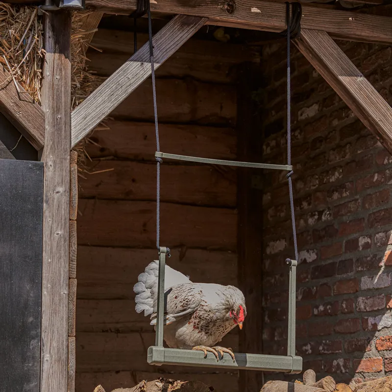 beeztees Hanging Chicken Swing-1