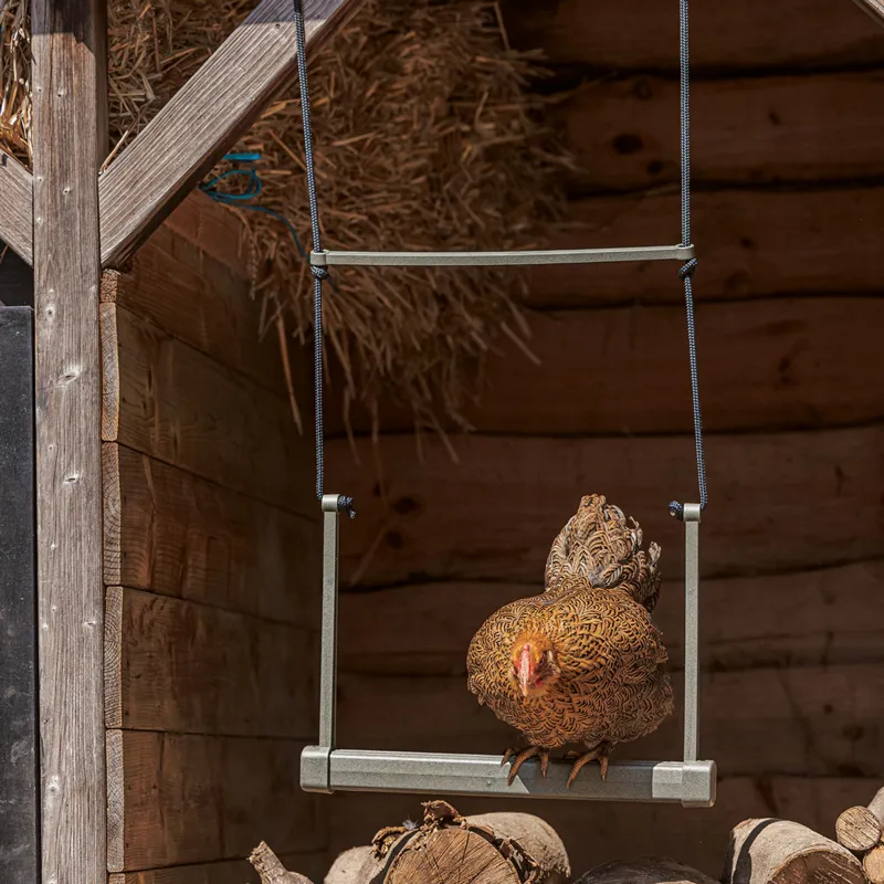 beeztees Hanging Chicken Swing-2