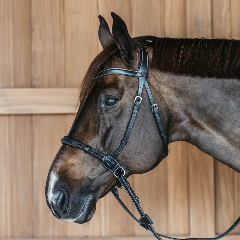 Dy'on Working Bitless Bridle - Black