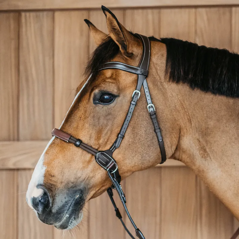 Dy'on Working Bitless Bridle - Brown