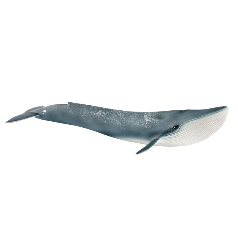 Schleich Blue Whale Toy