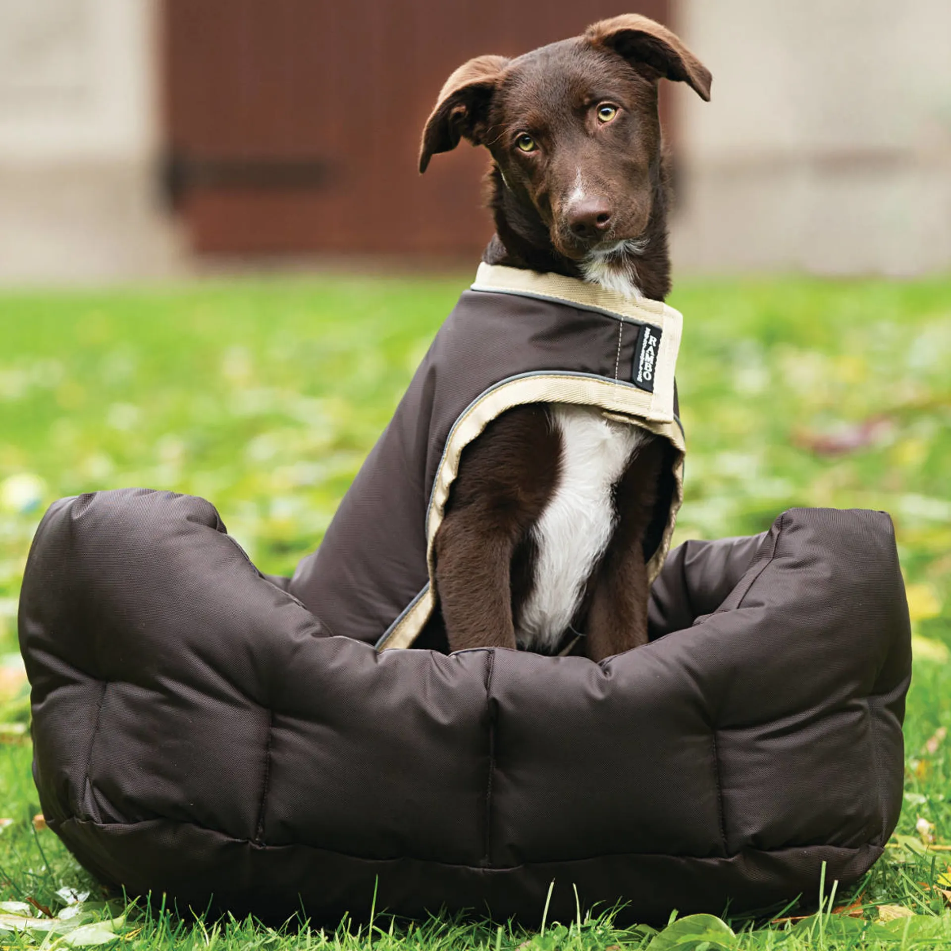 Horseware Rambo Waterproof Dog Coat with Liner Brown/Cream