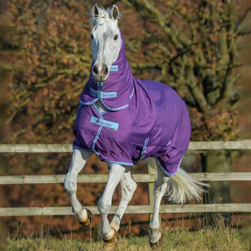 Bucas Freedom 150g Full Neck Turnout Rug Purple/Blue