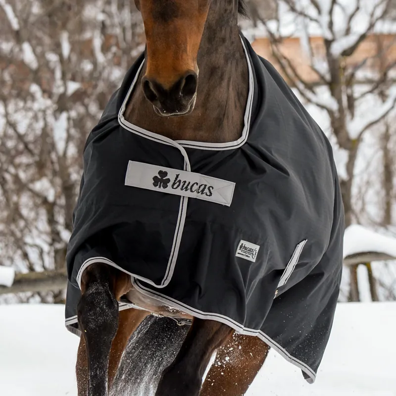 Bucas Anniversary 150g Standard Neck Turnout Rug - Black-3