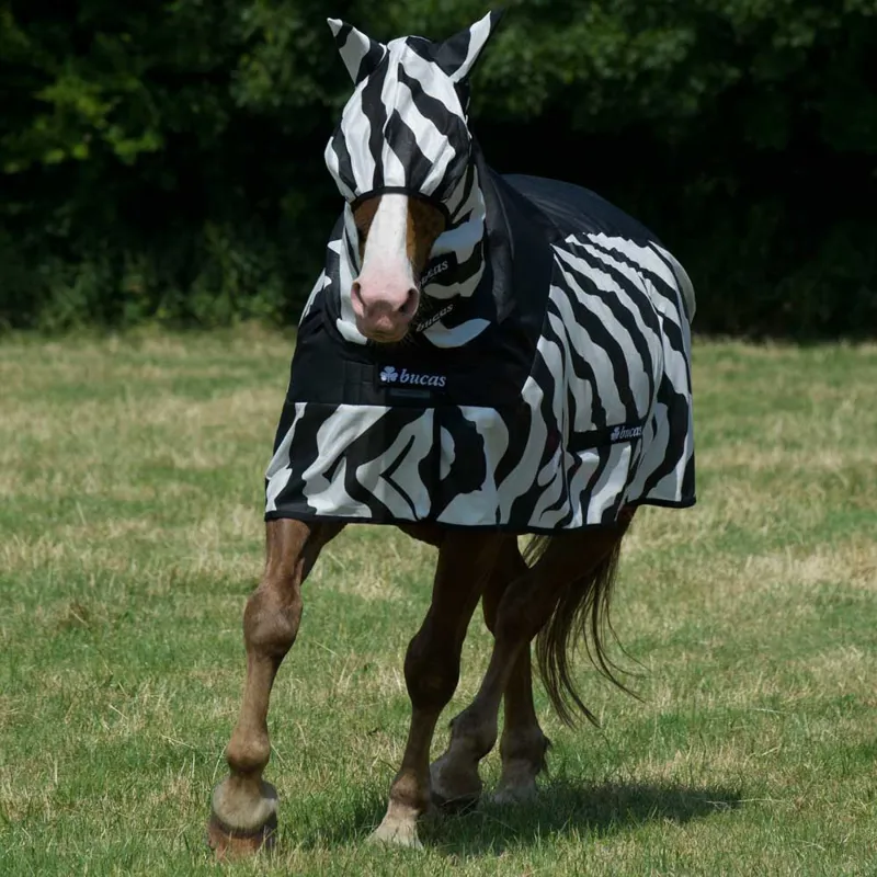 Bucas Buzz-Off Fly/Rain Sheet Hybrid Rug - Zebra Print-7