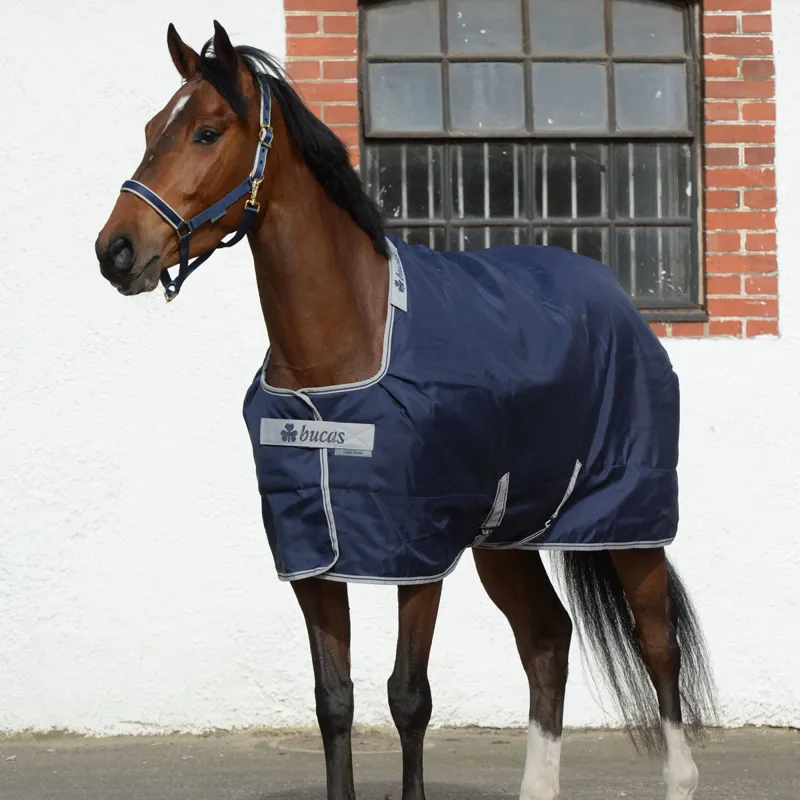 Bucas Celtic Stable Extra Heavyweight Rug 300g Navy Redpost Equestrian