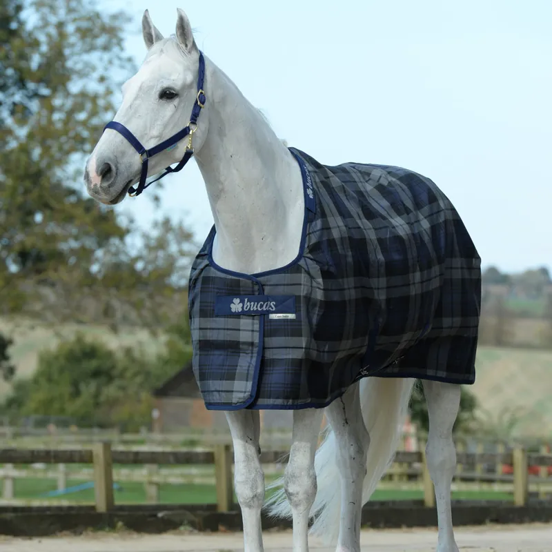 Bucas Celtic Light Weight Stable Rug Tartan Redpost Equestrian