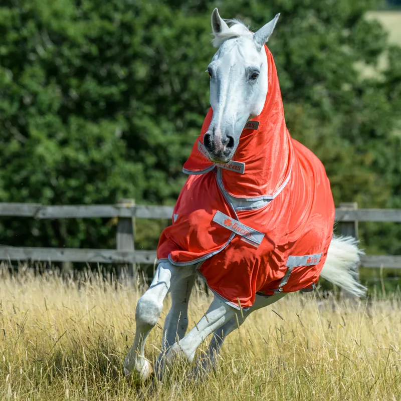 Bucas Freedom Combo Neck Fly Rug Grenadine