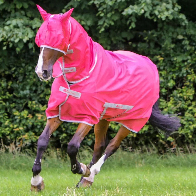 Bucas Freedom Combo Neck Fly Sheet Rug - Paradise Pink/Silver