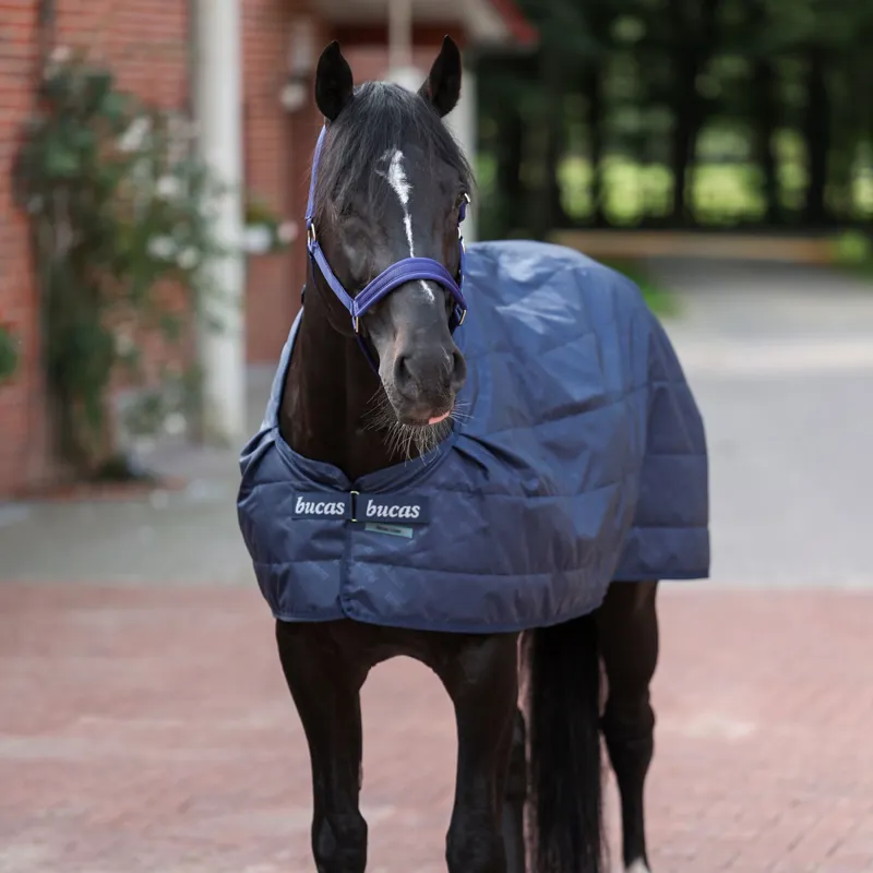 Bucas 300g Rug Liner - Navy-2