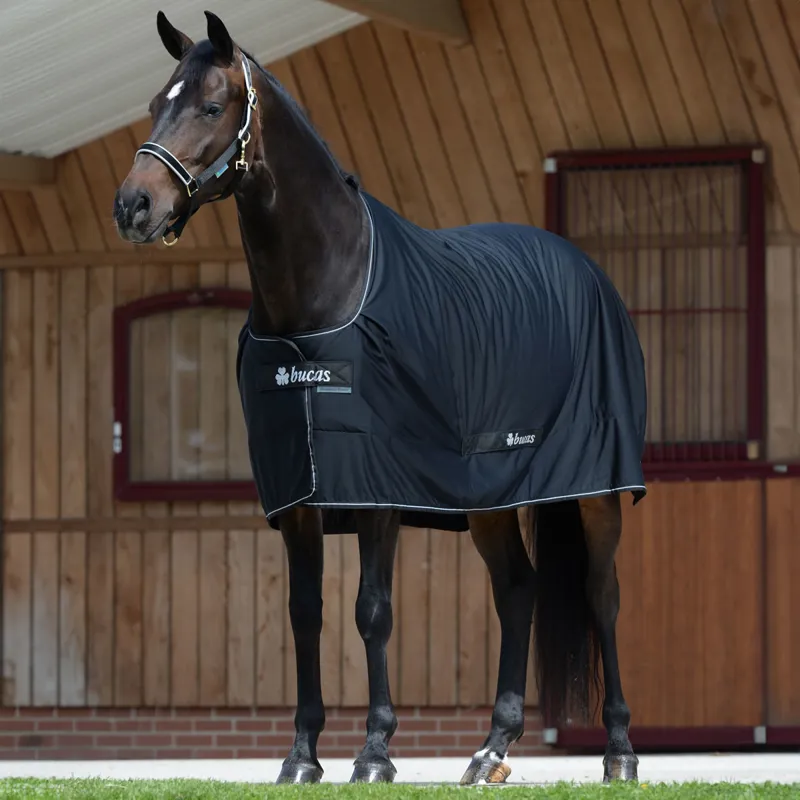 Bucas Shamrock Power Cooler Rug V1 - Black