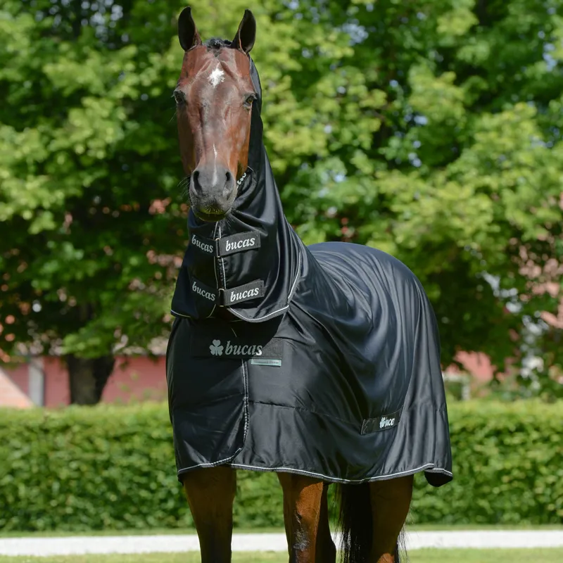 Bucas Shamrock Power Full Neck Cooler Rug - Black-4