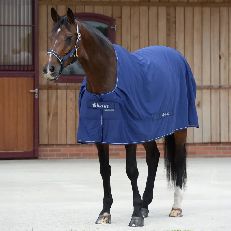 Bucas Shamrock Power Cooler Rug V1 - Navy - 6ft0