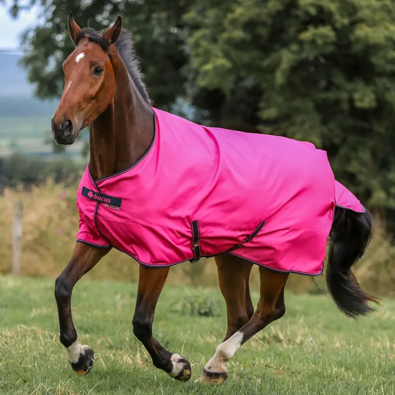 Bucas Freedom Pony 0g Standard Neck Turnout Rug - Fuchsia