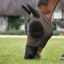 LeMieux Bug Relief Full Fly Mask - Walnut