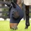 LeMieux Bug Relief Half Fly Mask - Navy