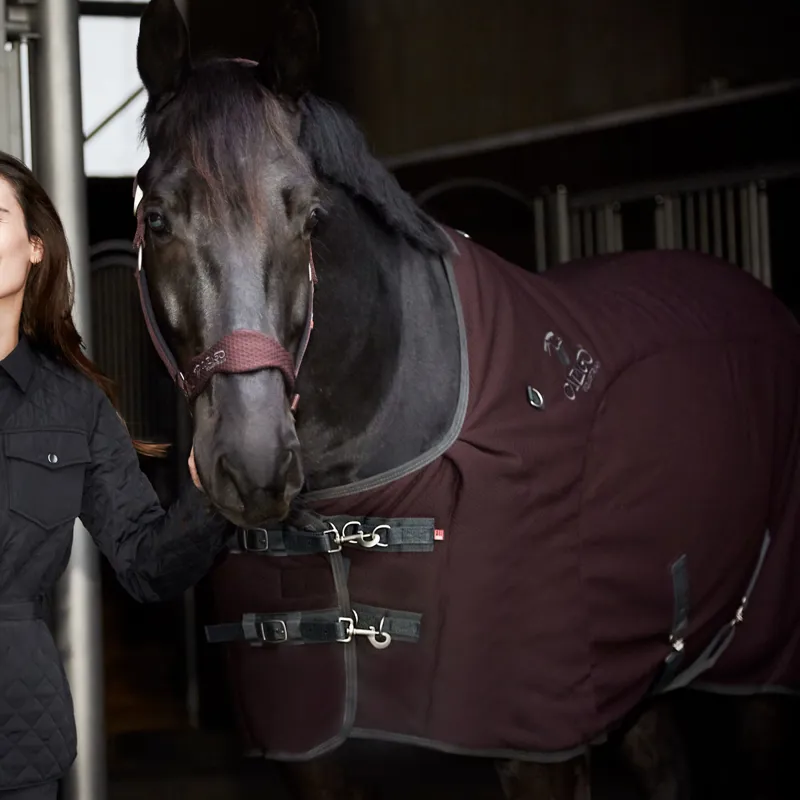 Catago FIR-Tech Paard / Catago / Voor je Paard | Dieren Vitaliteit