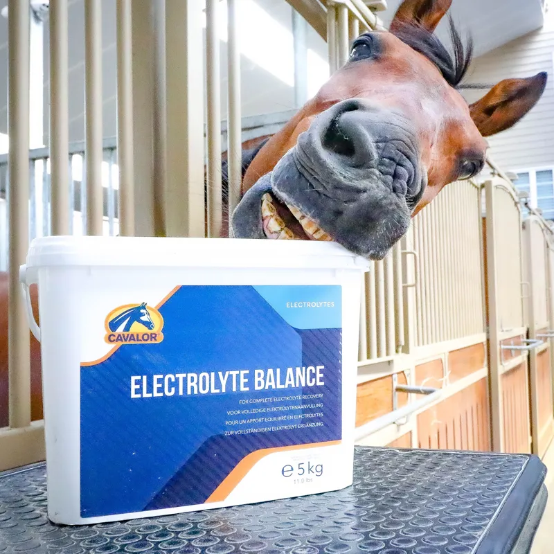 Cavalor Electrolyte Balance-1