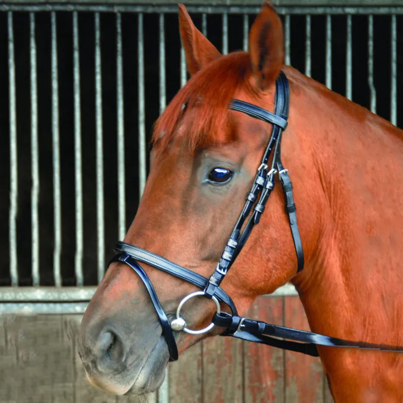 Celtic Equine Breeze Up Synthetic Endurance Bridle Black
