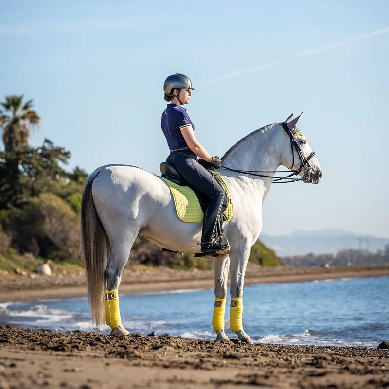 My LeMieux Ladies Polo Shirt - Navy/Citron-2