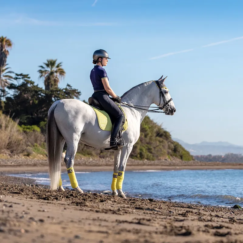 My LeMieux Ladies Polo Shirt - Navy/Citron-3