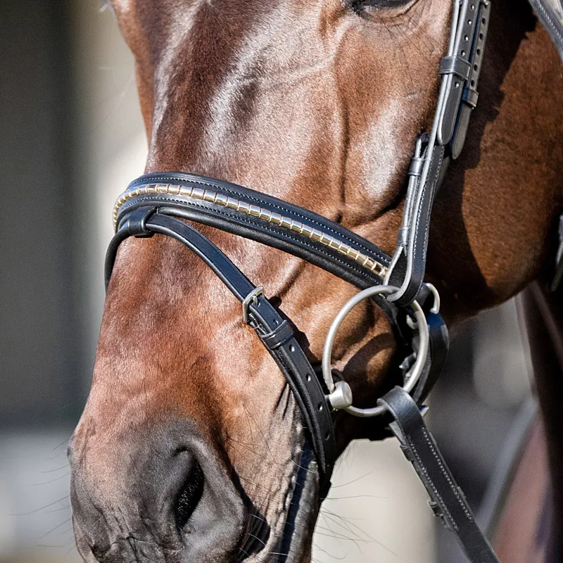 Equiline NB0455 Clincher Crank Noseband - Black/Gold-2