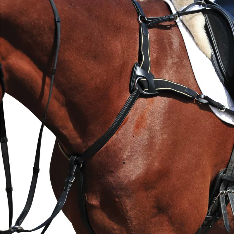 Collegiate 5Point Breastplate Black