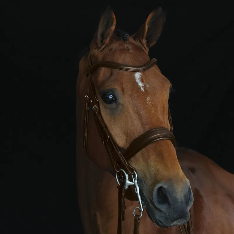 Collegiate Mono Crown Padded Raised Weymouth Double Bridle - Brown-1