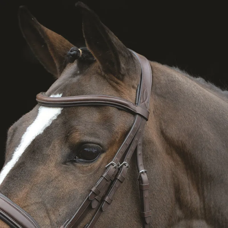 Collegiate Mono Crown Padded Raised Weymouth Double Bridle - Brown-2